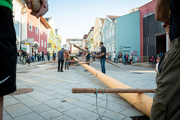 Maibaum_03_250430.jpg  
