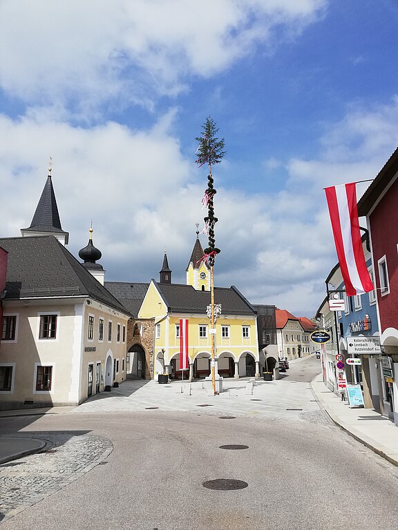 Maibaum_IMG_20210501_134537.jpg  