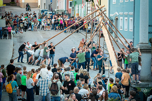 Maibaum_16_250430.jpg  