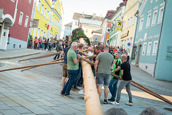 Maibaum_04_250430.jpg  
